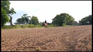 Advert reference - 311822