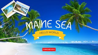 Discover the Stunning Beaches and Landscapes of Maine!   | THE US