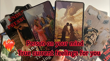 Person on your mind : Current true feelings for you 💞Hindi tarot card reading