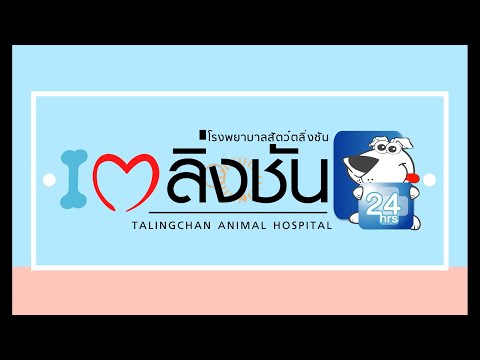 ทำความรู้จัก...โรงพยาบาลสัตว์ตลิ่งชัน