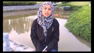 IDP CAPSTONE 2015 (EC2208F) - Green Building Project