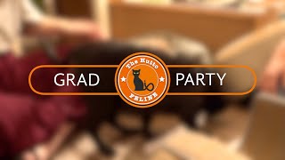 FIP Fighter Big Pig - Graduation of a FeLV positive cat with FIP - FeLV Cats Love Life
