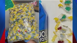Police seize Fentanyl-laced hard candy disguised as gummy bears
