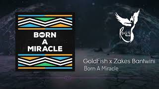 Goldfish X Zakes Bantwini  Born A Miracle 33 Degrees