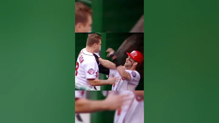 Bryce Harper fights teammate 😳 #shorts