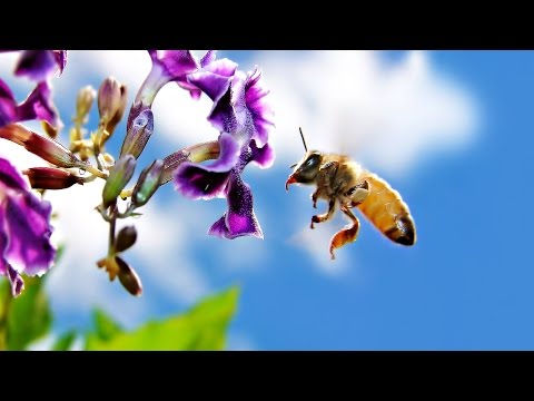 AK & Faodail - As Time Goes By [ChillStep] [Free Copyright / Royalty Free Music]