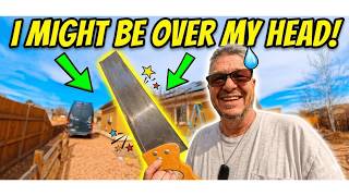 Did I Just Kill My Cherry Tree?