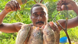 Slingshot spare fishing for big tilapia catch clean and cook