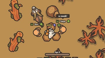 Locked in - Taming.io