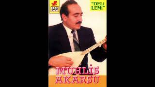 Muhlis Akarsu Deli Deli Resimi