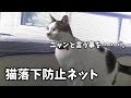 ベランダに猫落下防止ネット設置