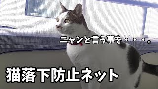 ベランダに猫落下防止ネット設置