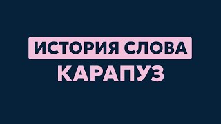 Почему говорят карапуз