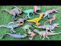 Hunting found Dinosaur T-rex, Velociraptor, Stegosaurus, Giganotosaurus, Mosasaurus.