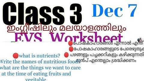 Class 3 Evs worksheet December 7|kite |victers worksheet |3 class evs dec 7 work|victers 3
