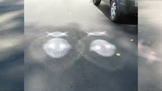 Alien Encounters On My Driveway Crazy Unexplained