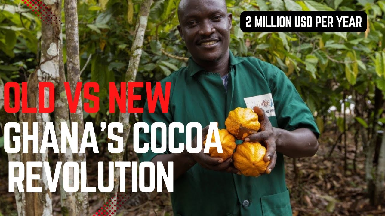 Why Ghana’s Farmers Are Beating the Chocolate Industry at Its Own Game