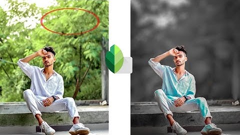 Snapseed Blue Background Change // dslr photo / Dark Tone Effect Effect Photo Editing 2021