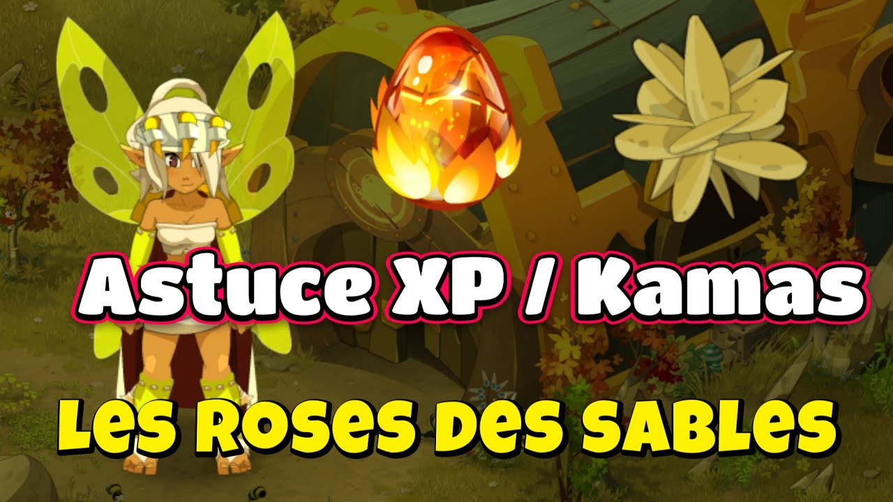 Chasse aux trésors ! Obtention des Roses des Sables DOFUS YouTube