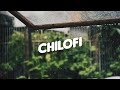 lofi chill music ♪ lofi hip hop mix ♪ chill out music to study, relax #25