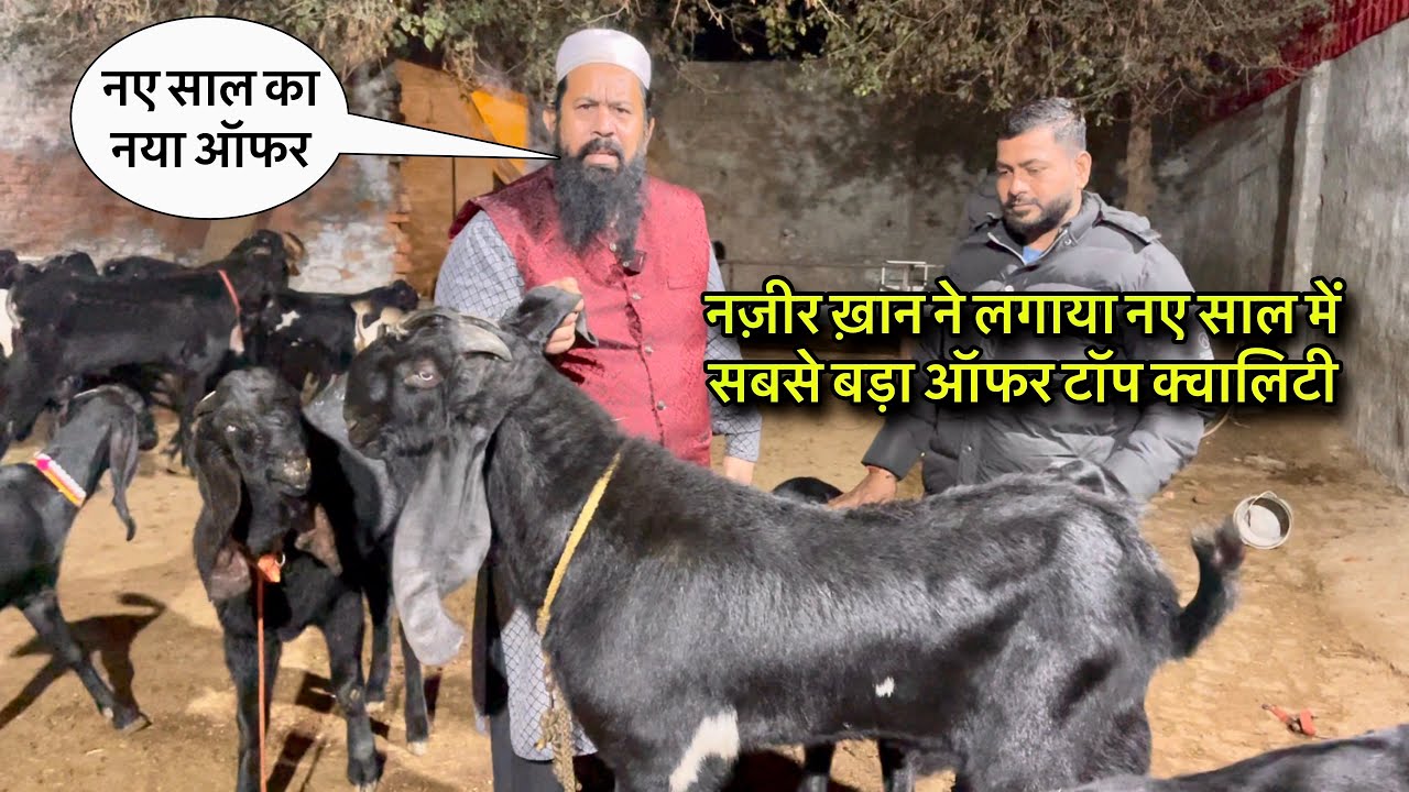 नज़ीर ख़ान ने लगाया नए साल में सबसे बड़ा ऑफर टॉप क्वालिटी @farmingbaba 