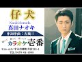 真田ナオキ「仔犬」【字幕付き・フル】