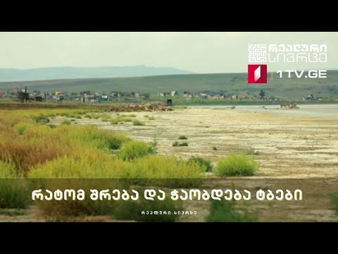 რეალური სივრცე - რატომ შრება და ჭაობდება ტბები #LIVE