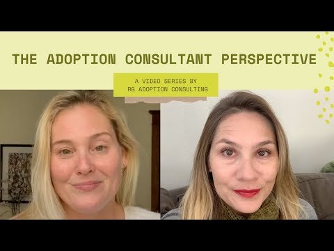 The Adoption Consultant Perpsective