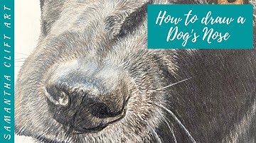HOW TO draw a Dog