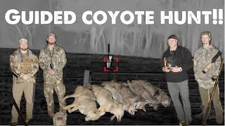 Coyote hunting before denning season!