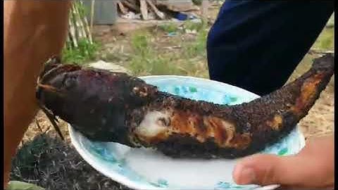 Đặc sản Miền Tây - Cá lóc nướng rơm