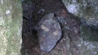 Sasquatch Caves In Hope
