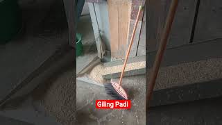 Giling Padi shorts