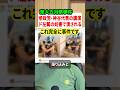 東大5月祭で参政党•神谷代表の公演が潰される！！言論の自由を振りかざして好き放題のド左翼さんたちがえぐい…#参政党