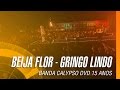 Banda Calypso - Beija flor / Gringo lindo (DVD 15 Anos Ao Vivo em Belém - Oficial)