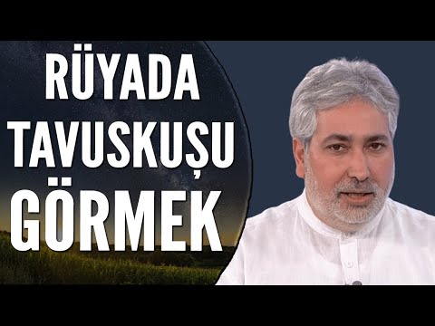 Video: Dişi tavus kuşu neye benzer? Kuş tutma koşulları