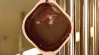 Exclusive How It's Made: Blood Products from Blood Banks, Drives & Donations Details