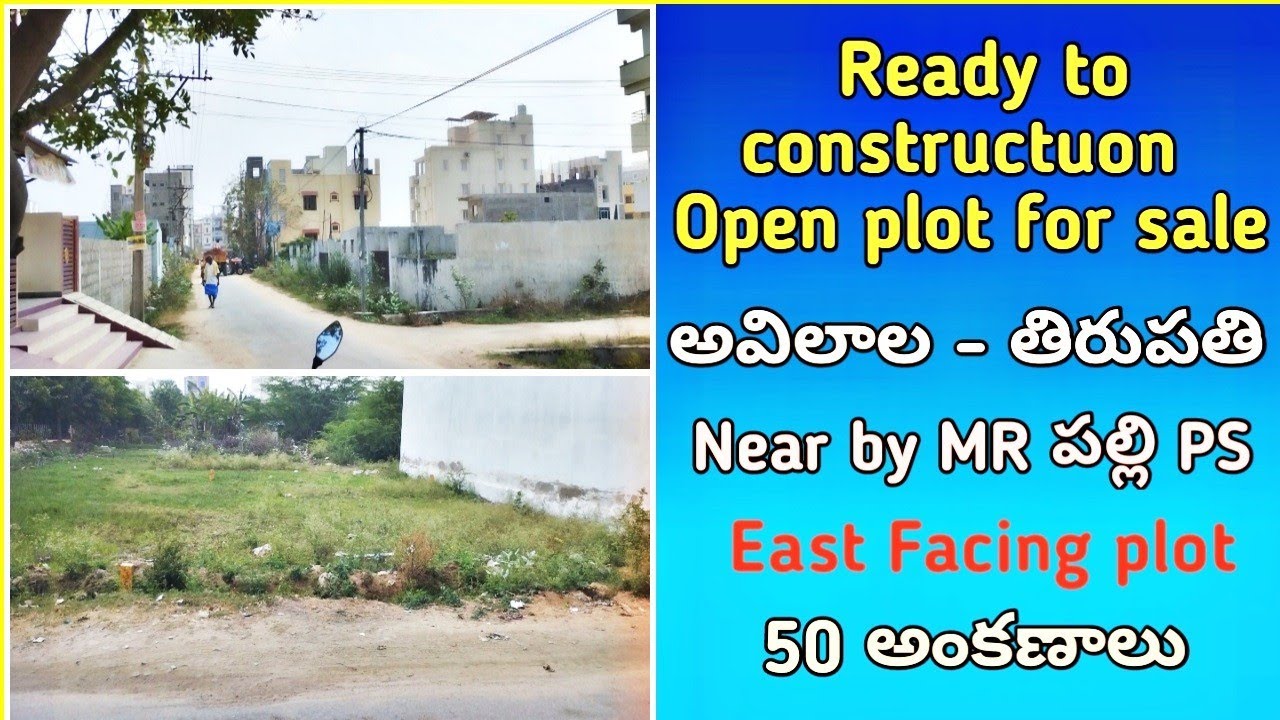 open plot for sale in tirupati avilala,near mr palli ps& YouTube