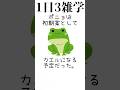 【トリビア】ポニョに関する雑学 #shorts #short #shortsvideo #ポニョ