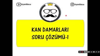 61 Dolaşim Si̇stemi̇ Soru Çözümü 3Kan Damarlari