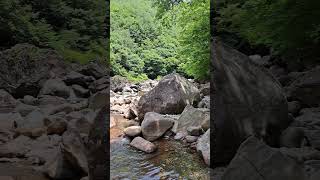뱀사골 하천 / Bamsagol Stream on Jirisan Mountain