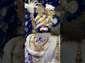 जय श्री श्याम ❤️#shyam #status #khatuwalashyam #khatushyam #youtubeshorts #trending