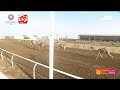 الشوط 5 هوايل لـ ناصر حمد ناصر الكربي 2 56 03 مهرجان ولي العهد 2024 9 1 حقايق الطائف