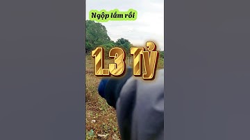 Đất Dầu Tiếng I Bán gấp lô đất 8 × 26 ( Tc Full   ) giá ngộp #datdautieng