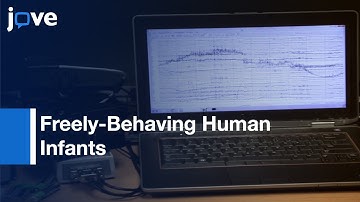Multimodal Neural Decoding-Intent During Social Interaction l Protocol Preview