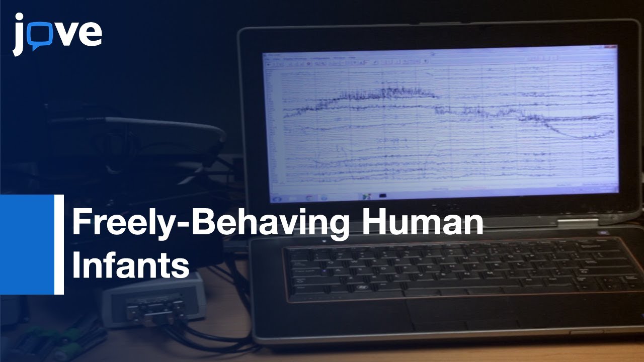 Multimodal Neural Decoding-Intent During Social Interaction l Protocol Preview