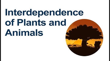 Interdependence of Plants and Animals