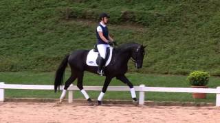 Escudeiro Interagro - Lote 3