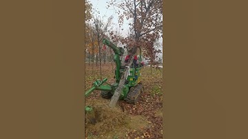 Mechanical Video - Tree Digging Machine