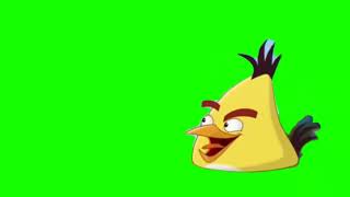 Чак Из Angry Birds Toons Футаж Для @Ivan-Ft5Dh